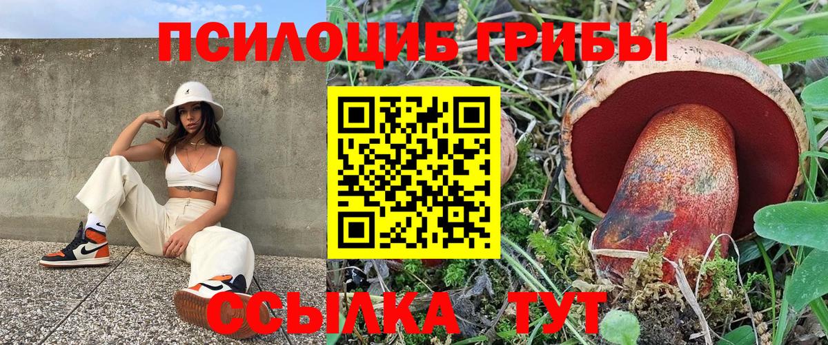 Северобайкальск  Псилоцибиновые грибы Magic Shrooms  Вход с VPN 